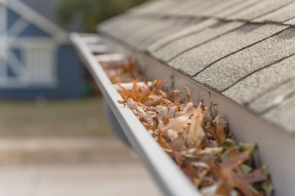 Leaf Barrier Installation in Philadelphia