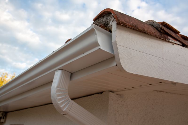 Gutter Cover System on Roof